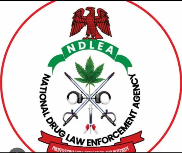 NDLEA Intercepts 300,000 Pills of Exol-5 in Ogun, Kaduna Raids
